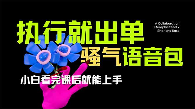 （14170期）爆火全网的开车导航骚气语音包,只要执行就出单，小白看完课程就能实操…_大叔资源库创业项目网-大叔资源库-资源-项目-副业-兼职-创业-大叔的库-大叔的库