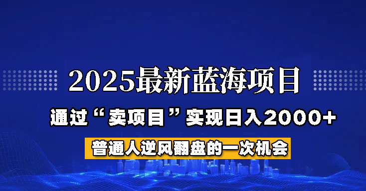 2025年蓝海项目，如何通过“网创项目”日入2000+_大叔资源库-大叔资源库-资源-项目-副业-兼职-创业-大叔的库-大叔的库