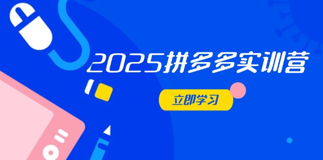 （14531期）2025拼多多实训营：深度剖析运营关键，助力电商人快速提升_大叔资源库创业项目网-大叔资源库-资源-项目-副业-兼职-创业-大叔的库-大叔的库