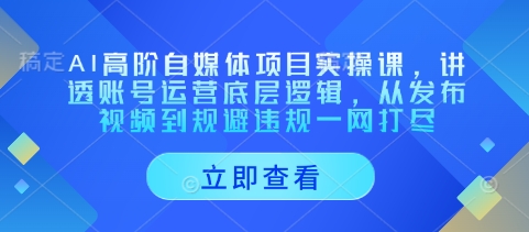 AI高阶自媒体项目实操课，讲透账号运营底层逻辑，从发布视频到规避违规一网打尽——大叔资源库创业项目网-大叔资源库-资源-项目-副业-兼职-创业-大叔的库-大叔的库