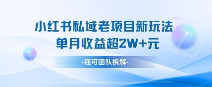 小红书私域项目新玩法，单月变现过W+——大叔资源库创业项目网-大叔资源库-资源-项目-副业-兼职-创业-大叔的库-大叔的库