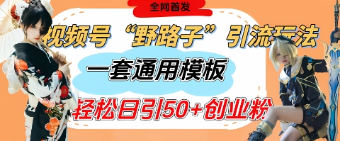 视频号“野路子”玩法，评论区疯狂截流，一套模板单日单号引流50+创业粉——大叔资源库创业项目网-大叔资源库-资源-项目-副业-兼职-创业-大叔的库-大叔的库