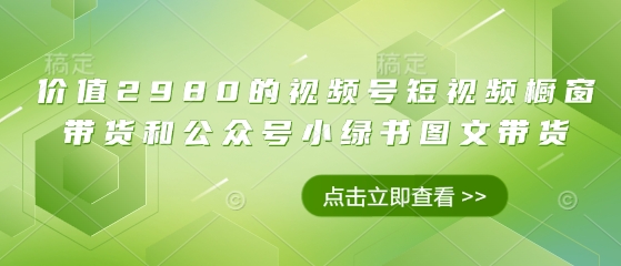 价值2980的视频号短视频橱窗带货和公众号小绿书图文带货——大叔资源库创业项目网-大叔资源库-资源-项目-副业-兼职-创业-大叔的库-大叔的库