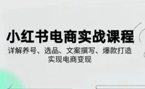 小红书从0-1实操课(2023-2025)，详解养号、选品、文案撰写、爆款打造实现电商变现——大叔资源库创业项目网-大叔资源库-资源-项目-副业-兼职-创业-大叔的库-大叔的库