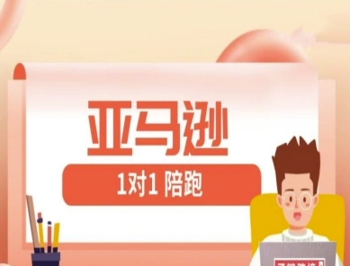 亚马逊1对1陪跑课(FBA/FBM精铺)跨境亚马逊教程——大叔资源库创业项目网-大叔资源库-资源-项目-副业-兼职-创业-大叔的库-大叔的库