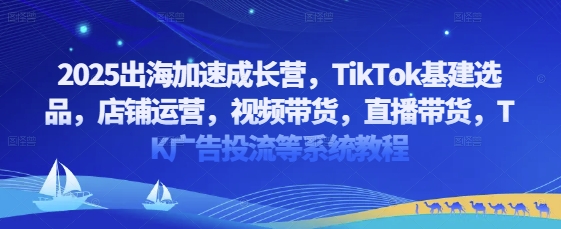 2025出海加速成长营，TikTok基建选品，店铺运营，视频带货，直播带货，TK广告投流等系统教程——大叔资源库创业项目网-大叔资源库-资源-项目-副业-兼职-创业-大叔的库-大叔的库