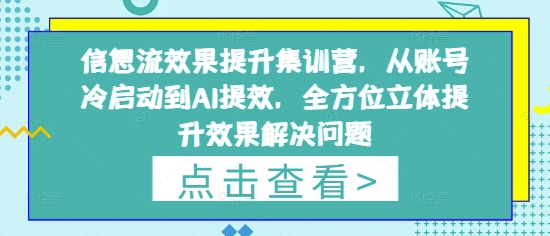 信息流效果提升集训营，从账号冷启动到AI提效，全方位立体提升效果解决问题——大叔资源库创业项目网-大叔资源库-资源-项目-副业-兼职-创业-大叔的库-大叔的库