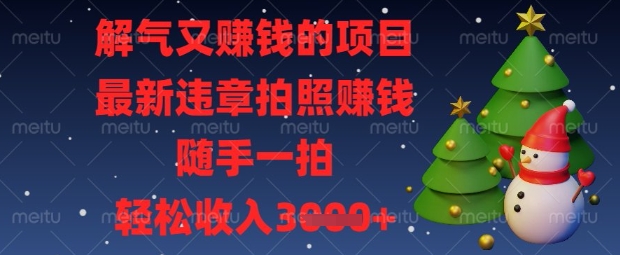 解气又挣钱的项目，最新违章拍照挣钱，随手一拍，轻松收入数张【揭秘】——大叔资源库创业项目网-大叔资源库-资源-项目-副业-兼职-创业-大叔的库-大叔的库
