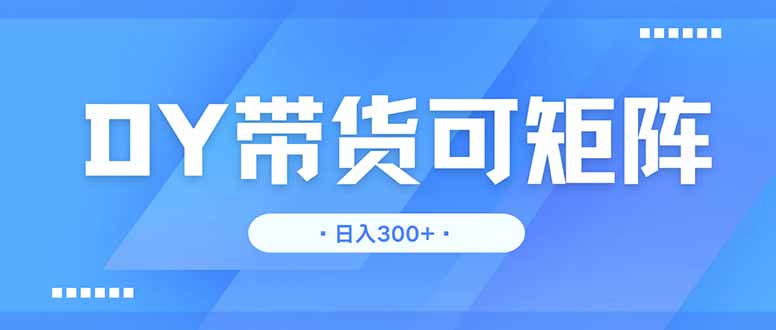 （14414期）DY带货，日入300＋矩阵无上限_大叔资源库创业项目网-大叔资源库-资源-项目-副业-兼职-创业-大叔的库-大叔的库