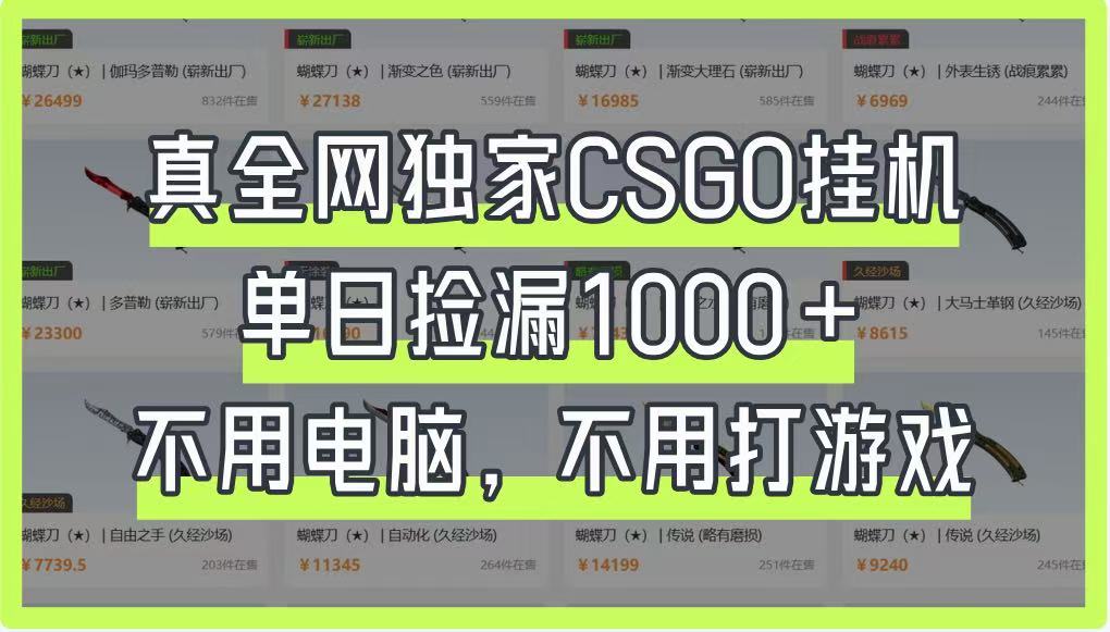 真全网独家CSGO挂机，单日捡漏1000+，不用电脑，不用养号_大叔资源库-大叔资源库-资源-项目-副业-兼职-创业-大叔的库-大叔的库