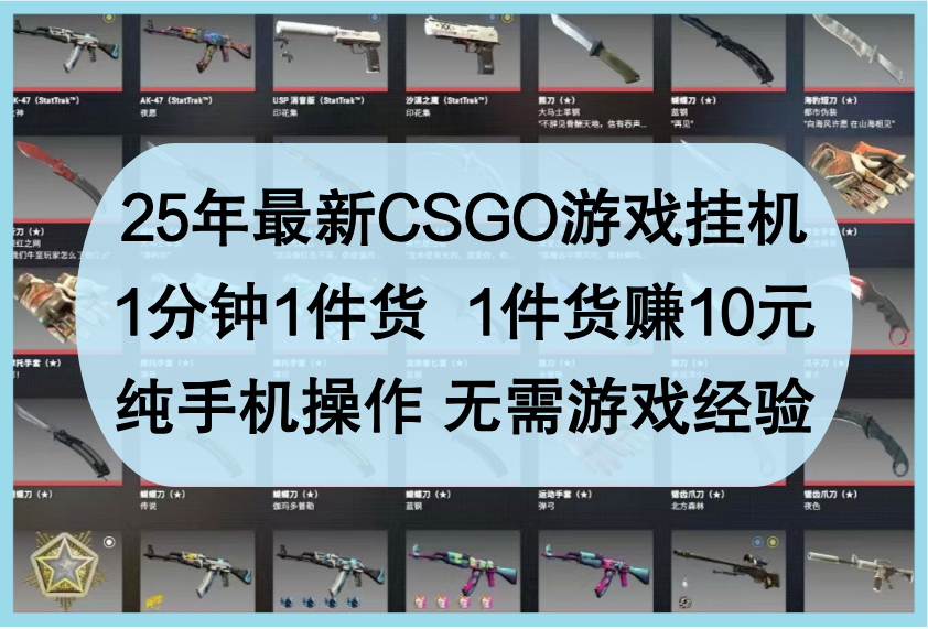 25年最新CSGO游戏挂机，1分钟1件货，1件货赚10元，纯手机操作，无需游戏经验_大叔资源库-大叔资源库-资源-项目-副业-兼职-创业-大叔的库-大叔的库