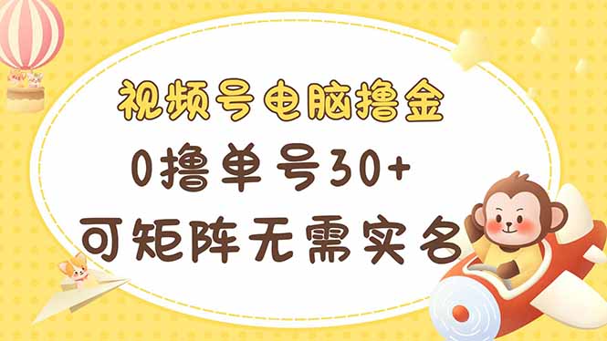（14220期）视频号电脑撸金 0撸单号30+ 可矩阵 无需实名多号多得_大叔资源库创业项目网-大叔资源库-资源-项目-副业-兼职-创业-大叔的库-大叔的库