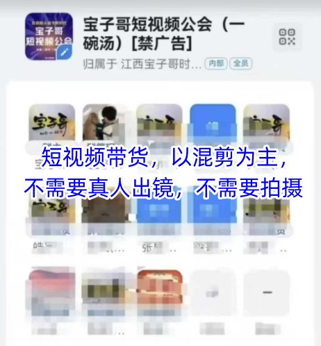 宝子哥头部团队短视频带货，以混剪为主，不需要真人出镜，不需要拍摄——大叔资源库创业项目网-大叔资源库-资源-项目-副业-兼职-创业-大叔的库-大叔的库