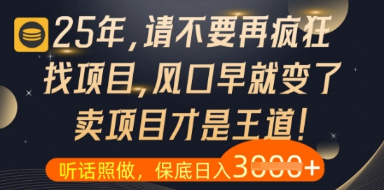 什么？25年你还在疯狂找项目做，醒醒吧，看完这些你全都懂了【揭秘】——大叔资源库创业项目网-大叔资源库-资源-项目-副业-兼职-创业-大叔的库-大叔的库