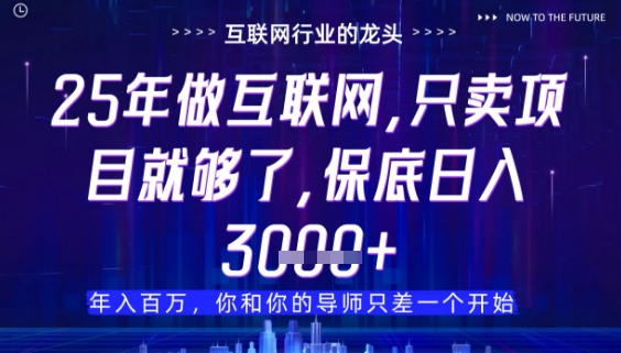 什么！25年你还在找项目做？风口早就变了，卖项目才是稳挣不赔【揭秘】——大叔资源库创业项目网-大叔资源库-资源-项目-副业-兼职-创业-大叔的库-大叔的库