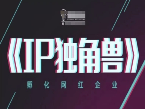 IP独角兽，孵化网红企业，ip教程——大叔资源库创业项目网-大叔资源库-资源-项目-副业-兼职-创业-大叔的库-大叔的库