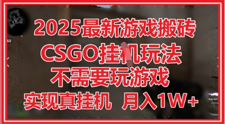 2025最新游戏搬砖，CSGO挂G，不需要玩游戏，实现真挂G，月入1W+【揭秘】——大叔资源库创业项目网-大叔资源库-资源-项目-副业-兼职-创业-大叔的库-大叔的库