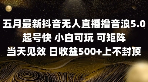 2025五月最新无人直播撸音浪单日产出5张+实操教程【揭秘】——大叔资源库创业项目网-大叔资源库-资源-项目-副业-兼职-创业-大叔的库-大叔的库