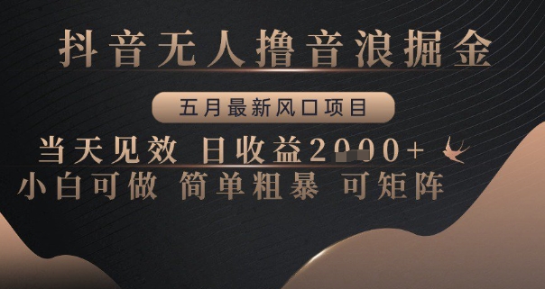 抖音无人撸音浪掘金，五月最新风口项目，当天见效，日收益多张，小白可做简单粗暴可矩阵【揭秘】——大叔资源库创业项目网-大叔资源库-资源-项目-副业-兼职-创业-大叔的库-大叔的库