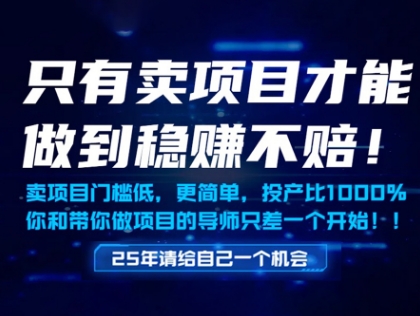 只有卖项目才能做到稳挣不赔，门槛低，更简单，你也可以年入百个W【揭秘】——大叔资源库创业项目网-大叔资源库-资源-项目-副业-兼职-创业-大叔的库-大叔的库