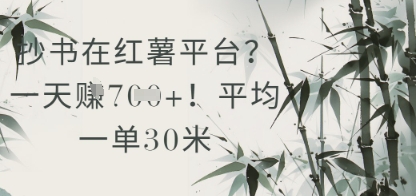 抄书在小红薯平台？平均一单30米，一天收益几张！——大叔资源库创业项目网-大叔资源库-资源-项目-副业-兼职-创业-大叔的库-大叔的库