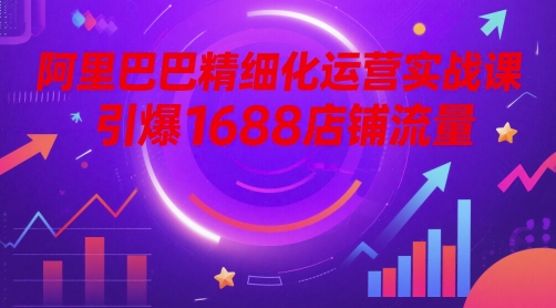 阿里巴巴精细化运营实战课，引爆1688店铺流量——大叔资源库创业项目网-大叔资源库-资源-项目-副业-兼职-创业-大叔的库-大叔的库