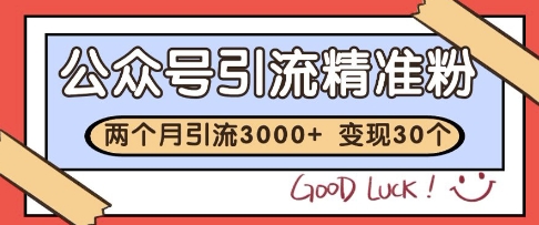 公众号精准粉引流玩法，2个月3000+精准粉，变现30个W【揭秘】——大叔资源库创业项目网-大叔资源库-资源-项目-副业-兼职-创业-大叔的库-大叔的库