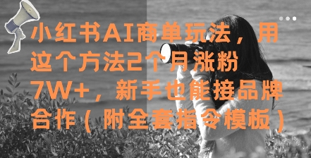 小红书AI商单玩法，用这个方法2个月涨粉7W+，新手也能接品牌合作(附全套指令模板)——大叔资源库创业项目网-大叔资源库-资源-项目-副业-兼职-创业-大叔的库-大叔的库
