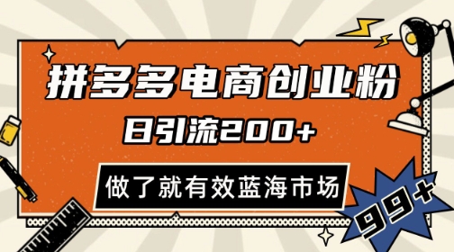 拼多多引流电商创业粉，日引200+，可矩阵放大，做了就有效【揭秘】——大叔资源库创业项目网-大叔资源库-资源-项目-副业-兼职-创业-大叔的库-大叔的库