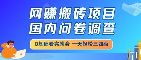 网创搬砖项目，国内问卷调查，小白轻松上手，一天三四张的也不难，干就完了【揭秘】——大叔资源库创业项目网-大叔资源库-资源-项目-副业-兼职-创业-大叔的库-大叔的库