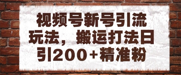 视频号新号引流玩法，搬运打法日引200+精准粉，可矩阵放大【揭秘】——大叔资源库创业项目网-大叔资源库-资源-项目-副业-兼职-创业-大叔的库-大叔的库