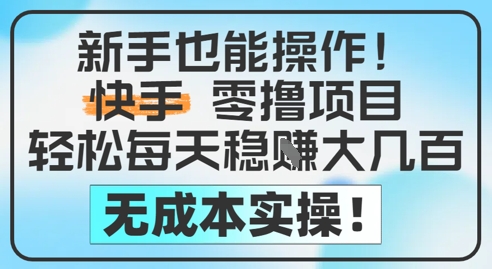 新手也能操作，快手零撸挣米，轻松每天挣2-5张，完全无成本——大叔资源库创业项目网-大叔资源库-资源-项目-副业-兼职-创业-大叔的库-大叔的库