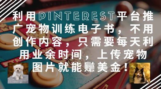 利用Pinterest平台推广宠物训练电子书，不用创作内容，只需要每天利用业余时间，上传宠物图片就能挣美金!——大叔资源库创业项目网-大叔资源库-资源-项目-副业-兼职-创业-大叔的库-大叔的库