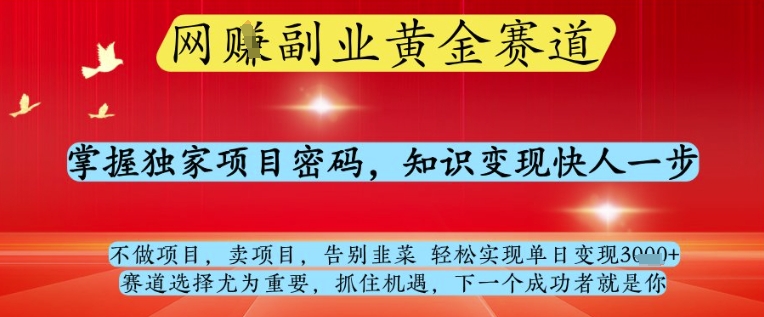 网创副业黄全赛道，掌握独家项目密码，知识变现快人一步，告别韭菜轻松实现单日变现1k+【揭秘】——大叔资源库创业项目网-大叔资源库-资源-项目-副业-兼职-创业-大叔的库-大叔的库