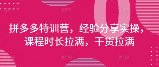 拼多多特训营，经验分享实操，课程时长拉满，干货拉满(更新25年4月)——大叔资源库创业项目网-大叔资源库-资源-项目-副业-兼职-创业-大叔的库-大叔的库