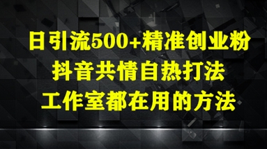 日引流500+精准创业粉，抖音共情自热打法，工作室都在用的方法——大叔资源库创业项目网-大叔资源库-资源-项目-副业-兼职-创业-大叔的库-大叔的库