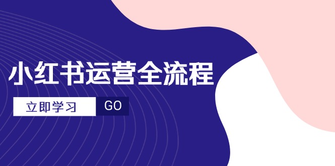 （14861期）小红书运营全流程，爆款选题文案，视频制作技巧，进阶达人宝典_大叔资源库创业项目网-大叔资源库-资源-项目-副业-兼职-创业-大叔的库-大叔的库