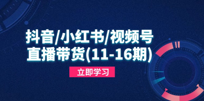 （14611期）抖音/小红书/视频号/直播带货(11-16期)，快速掌握平台规则，打造爆款内容_大叔资源库创业项目网-大叔资源库-资源-项目-副业-兼职-创业-大叔的库-大叔的库
