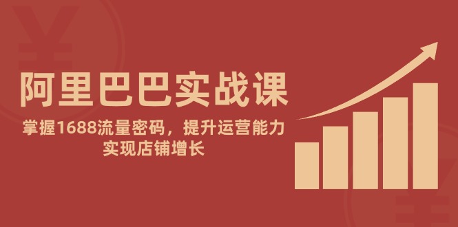 （14830期）阿里巴巴实战课：掌握1688流量密码，提升运营能力，实现店铺增长_大叔资源库创业项目网-大叔资源库-资源-项目-副业-兼职-创业-大叔的库-大叔的库