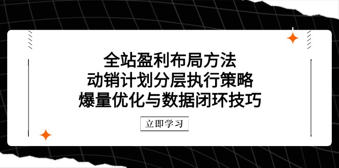 （14698期）全站盈利布局方法：动销计划分层执行策略，爆量优化与数据闭环技巧_大叔资源库创业项目网-大叔资源库-资源-项目-副业-兼职-创业-大叔的库-大叔的库