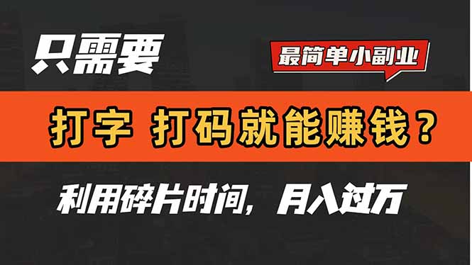 （14673期）只需要打字，打码，就能赚钱？简单的赚钱小副业，利用碎片时间，月入过万_大叔资源库创业项目网-大叔资源库-资源-项目-副业-兼职-创业-大叔的库-大叔的库