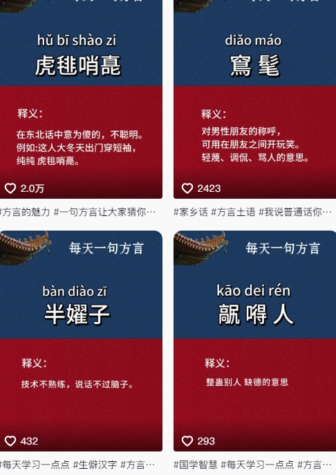 抖音最新涨粉玩法，图文方言暴力涨粉实操，126作品涨粉11W——大叔资源库创业项目网-大叔资源库-资源-项目-副业-兼职-创业-大叔的库-大叔的库